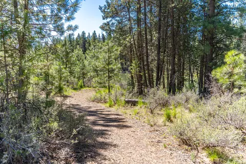 16545 Stage Stop Dr, Bend, OR 97707 photo 13