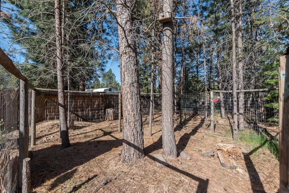  52703 Golden Astor Rd, La Pine, OR 97739 photo 12