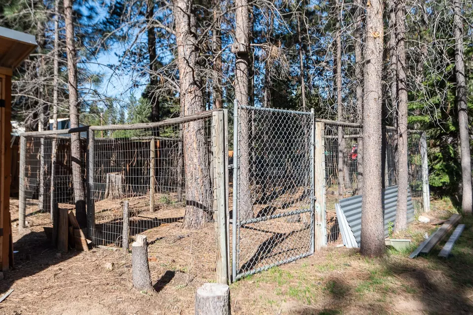  52703 Golden Astor Rd, La Pine, OR 97739 photo 11