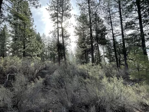incline drive LOT 4, Chiloquin, OR 97624