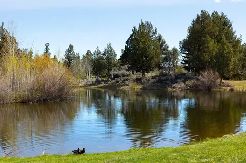 View/Area - 20720 Lyra Dr, Bend, OR 97703 photo 3 of 7