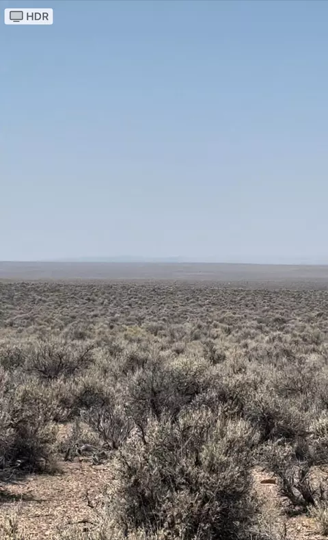 red hills rd, Frenchglen, OR 97736
