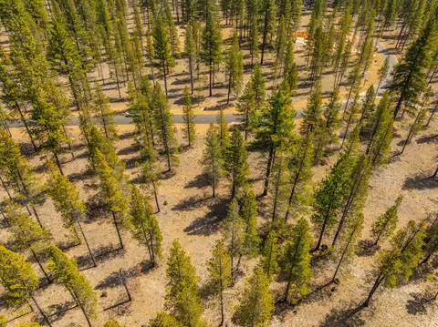 preservation loop, Bend, OR 97707 photo 6