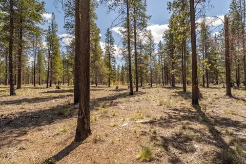 preservation loop, Bend, OR 97707 photo 11