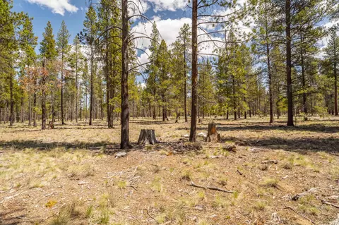 preservation loop, Bend, OR 97707 photo 10