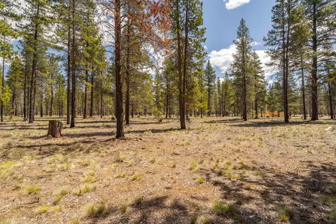preservation loop, Bend, OR 97707 photo 8