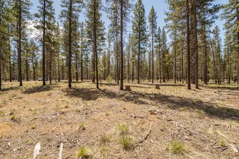 preservation loop, Bend, OR 97707 photo 8