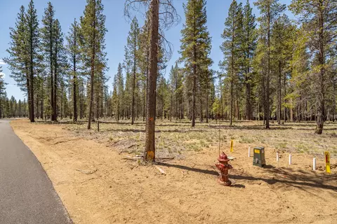preservation loop, Bend, OR 97707 photo 6