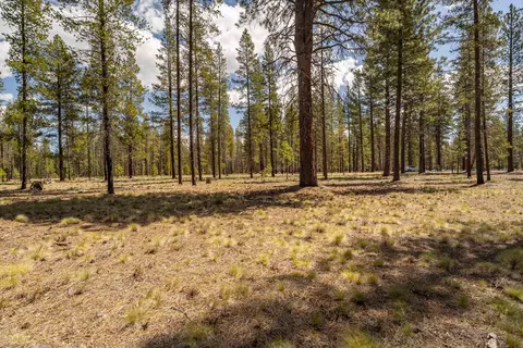 preservation loop, Bend, OR 97707 photo 7