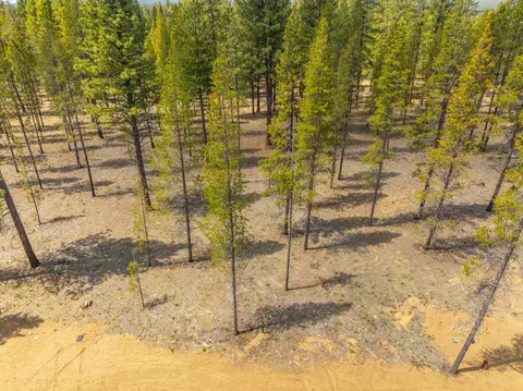 preservation loop, Bend, OR 97707 photo 4