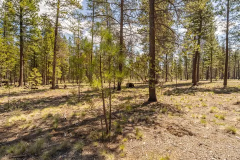 preservation loop, Bend, OR 97707 photo 8