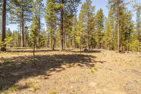 preservation loop, Bend, OR 97707 photo 7