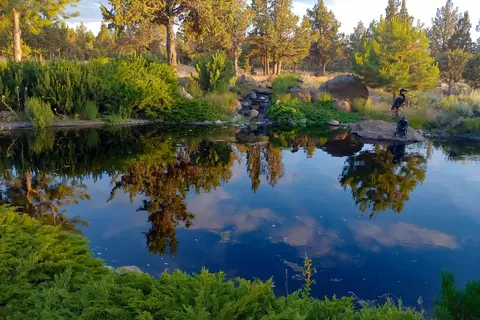 65765 Highway 20, Bend, OR 97703 photo 50
