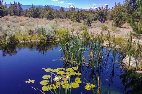 65765 Highway 20, Bend, OR 97703 photo 51