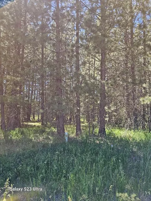 lot S 11-14 Pine St, Klamath Falls, OR 97601