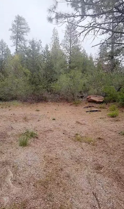 sandpiper drive, Bonanza, OR 97623