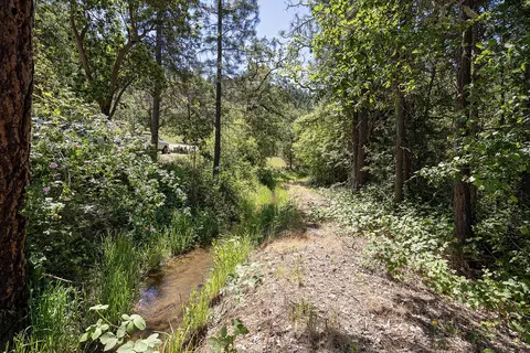 1382 Evans Creek Rd, Rogue River, OR 97537 photo 7