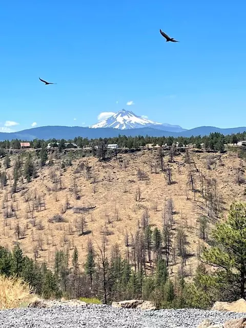 12264 SW Big Canyon Ln, Culver, OR 97734