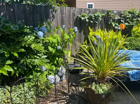 715 Divot Loop, Sutherlin, OR 97479 photo 84