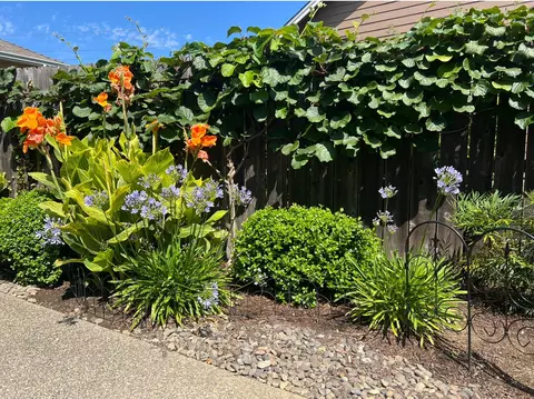 715 Divot Loop, Sutherlin, OR 97479 photo 79
