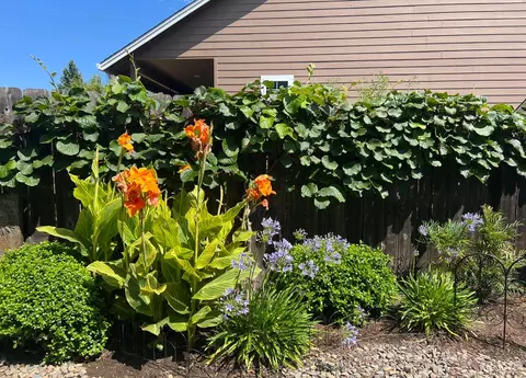 715 Divot Loop, Sutherlin, OR 97479 photo 80