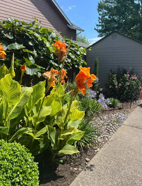 715 Divot Loop, Sutherlin, OR 97479 photo 82