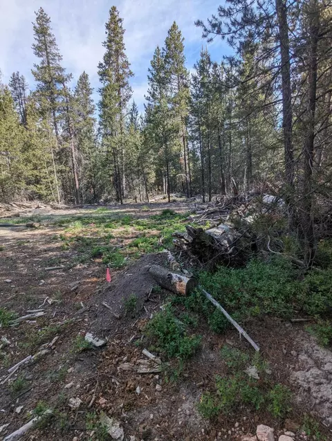 0 Cloudcap Dr #500, Chiloquin, OR 97624 photo 9
