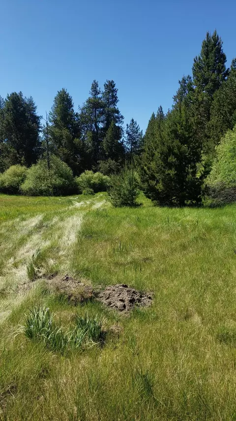 15485 Deer Ave #12, La Pine, OR 97739