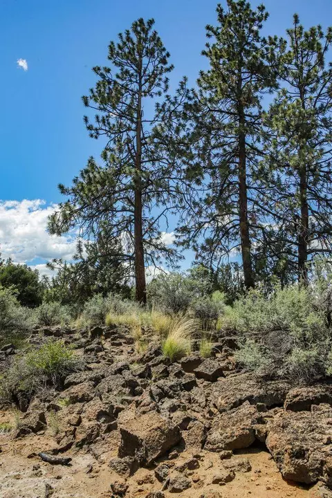 Exterior - 60604 Woodside Rd, Bend, OR 97702 photo 35 of 42