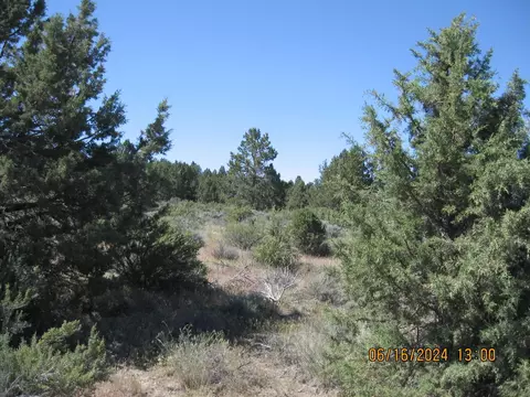 Drews Road Lot 3, Sprague River, OR 97639