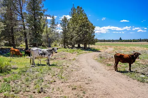 24395 Dodds Rd, Bend, OR 97701 photo 47