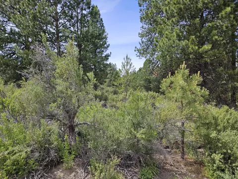 00 Pine Ridge Loop #LOT 7, Chiloquin, OR 97624