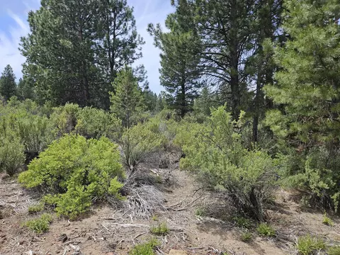 00 Pine Ridge Loop #LOT 7, Chiloquin, OR 97624 photo 2