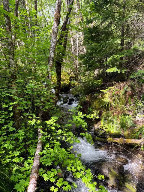 T39sse18 Caves Camp Road, Williams, OR 97544