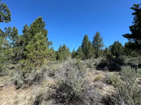 lot S 3940 Drews Rd, Sprague River, OR 97639