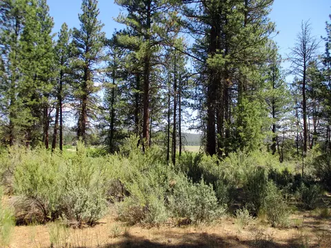 Nka Block 1 Lot 3 Loafers Lane, Chiloquin, OR 97624