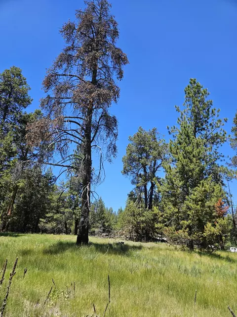 15466 15472 Cascade Dr, La Pine, OR 97739 photo 8