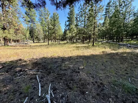 0 Blue Wing St #618246, Keno, OR 97627