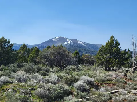 County 3-13 Highway, Plush, OR 97637