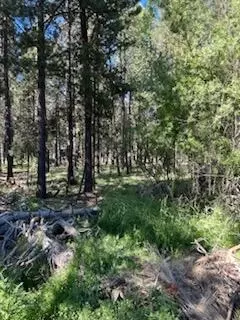17145 Pasadena Rd, Bend, OR 97707 photo 2