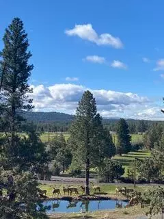 View/Area - 63721 Johnson Rd, Bend, OR 97703 photo 1 of 10