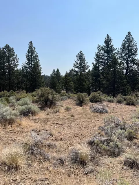 Klamath Forest Estates, Chiloquin, OR 97624 photo 2