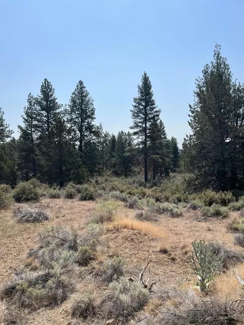 Klamath Forest Estates, Chiloquin, OR 97624 photo 3