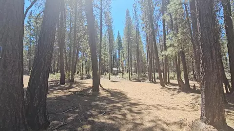 corbell drive, Chiloquin, OR 97624 photo 15
