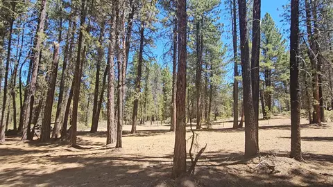 corbell drive, Chiloquin, OR 97624 photo 10