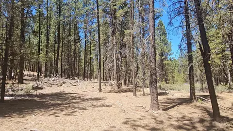 corbell drive, Chiloquin, OR 97624 photo 11