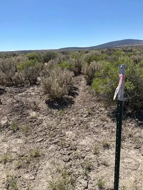 0 Offbowens27s15e00-00-04100 Rd, Silver Lake, OR 97638