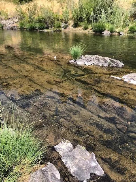 1313 Rockydale Rd, Cave Junction, OR 97523 photo 10