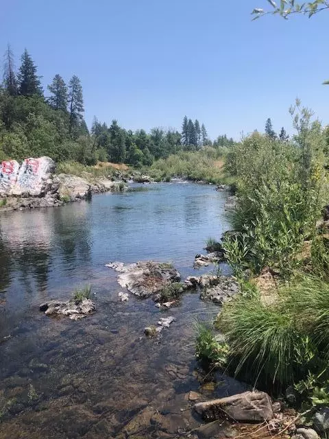 1313 Rockydale Rd, Cave Junction, OR 97523 photo 9