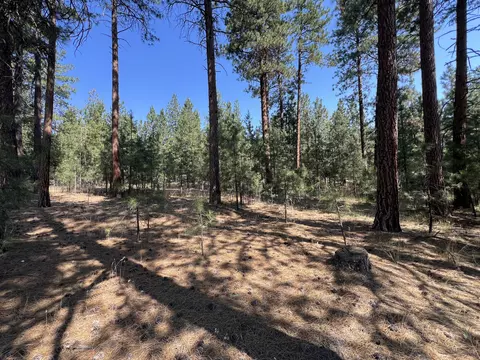 0 Spring Ct, Keno, OR 97627 photo 9
